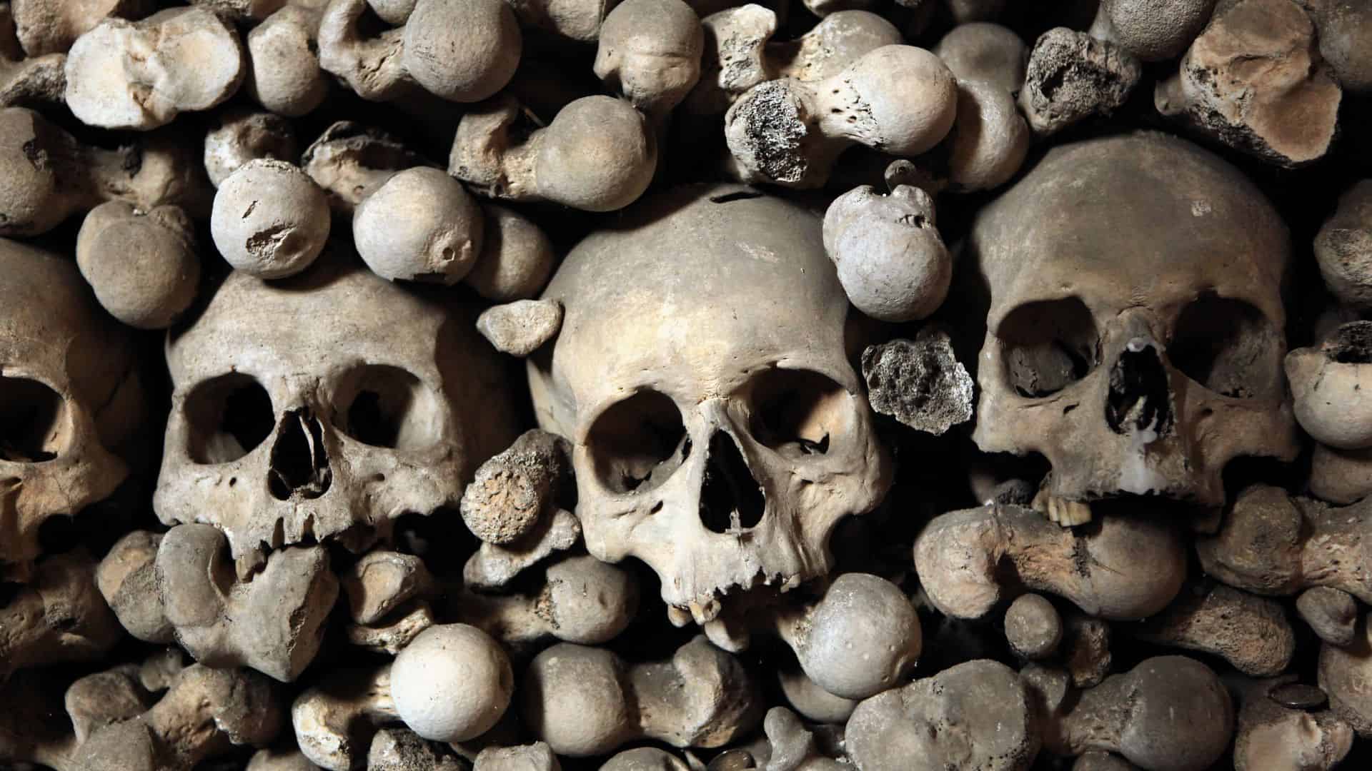 Skulls and bones in an ossuary.